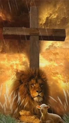 a lion and lamb sitting under a cross