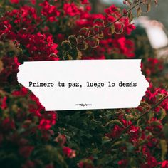 a piece of paper that says prinero tu pas, iguao lo demas