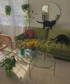 two cats are standing on the back of a couch in a living room with green furniture