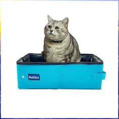 PetLike Travel Cat Litter Box, Leak-Proof Portable Litter Box, Collapsible Toilet Tray Carrier for Small Medium Cats Toilet Tray, Travel Cat, Small Pet Bed, Cat Litter Mat, Puppy Pads, Dog Bag