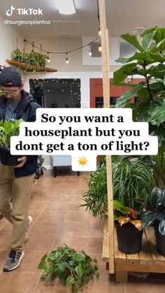 a man walking through a room filled with potted plants and text saying so you want a houseplant but you don't get a ton of light?