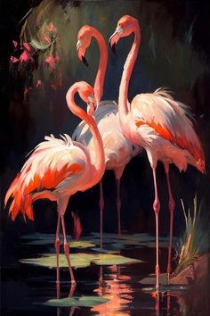 two flamingos are standing in the water and one is looking at its own reflection