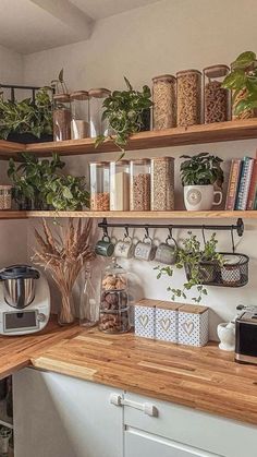 a kitchen with wooden counters and shelves filled with plants