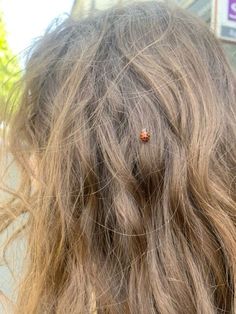 a lady bug is sitting on the back of a woman's long brown hair