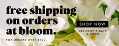 white flowers with the words free shipping on orders at bloom