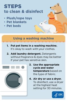 an info sheet describing how to clean and disinfect pet washes with the help of
