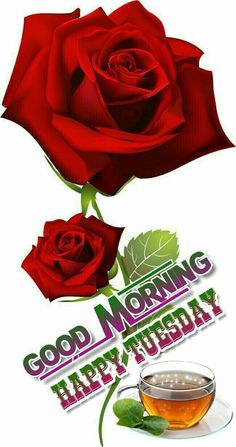 two red roses and a cup of tea with the words good morning happy tuesday