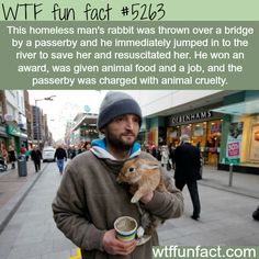 a man is holding a baby goat in his arms and the caption reads, the homeless man's rabbit was thrown over a bridge by a passby and he immediately jumped in to the river to save her