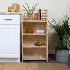 a white cabinet sitting next to a potted plant