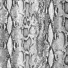 an image of a snake skin pattern in black and white