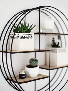 some plants are sitting on shelves in a room with white walls and black metal frames