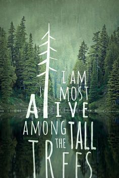 i am most alive among the tall trees