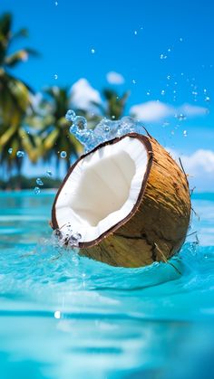 a coconut in the water with palm trees in the background