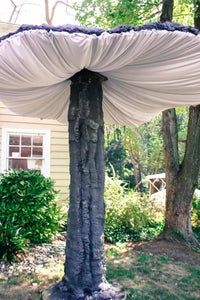 a tree with a white cloth covering it's trunk in front of a house