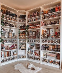 Big white shelf with a big Harry Potter collection. Everything is well organized and aesthetic. There is a white fluffy cat on a white carpet. There are funko pops on the shelf, there are books and decoration. Funko Bookshelf, Harry Potter Dorm Room Ideas, Harry Potter Funko Pop Collection, Harry Potter Magic Awakened, Magic Awakened, Dream Home Library, Funko Pop Display