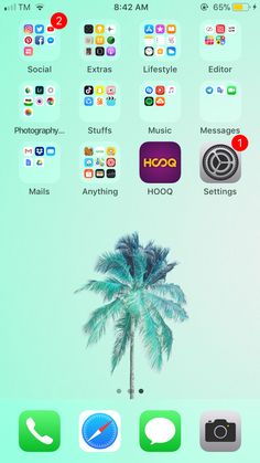 an iphone screen with various icons on it and a palm tree in the middle,