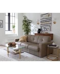 a living room with a couch, coffee table and potted plant in the corner