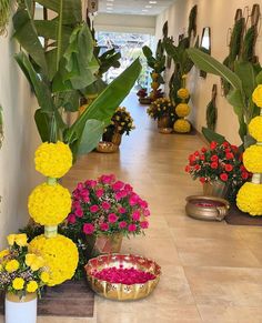 flowers are lined up on the floor in front of an entrance way with potted plants