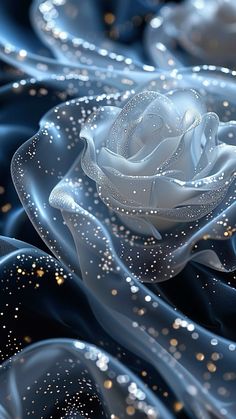 a white rose with water droplets on it's petals and some blue fabric in the background