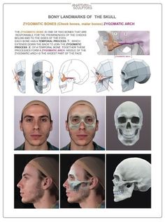 the human head is shown with different angles and facial features to show how it looks like