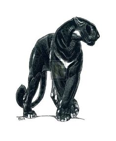 an ink drawing of a black panther sitting on its hind legs and looking at the ground