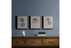 Blue Print Botanicals Set Of 3 - $69 Three Piece Wall Art, Canvas Display, 3 Canvas Art, Blue Prints, Linen Material, Linen Canvas, Madison Park, Canvas Wall Art Set, Printed Canvas