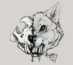 a black and white drawing of a wolf's head with fangs on its teeth