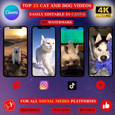 the top 25 cat and dog videos easily editable in canvas no watermark