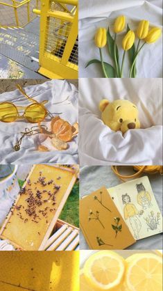 there are many different pictures with yellow things in the middle one has a teddy bear on it