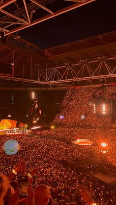 a large group of people at a concert