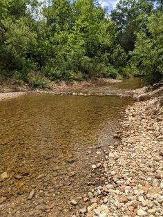 a river running through a forest filled with lots of rocks and trees in the background