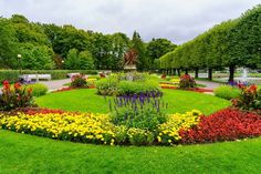 a circular flower garden in the middle of a park