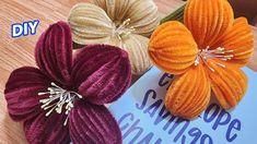 three different colored flowers sitting on top of a wooden table next to a sign that says diy