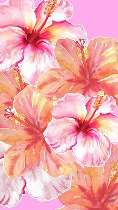 watercolor painting of pink and white flowers on a pink background with yellow stamens