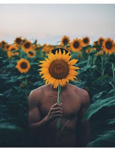 a man holding a large sunflower in front of his face with the sky behind him