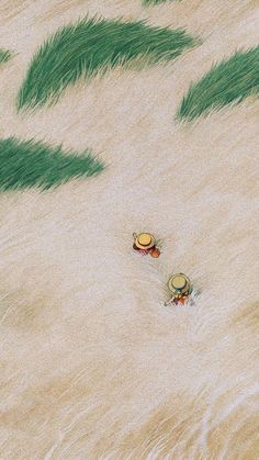 two people in hats are walking through the grass on a sandy beach with green plants