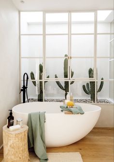 a white bath tub sitting next to a window with cacti in the background