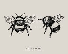 Bee Illustration Vintage, Tattoo Drawings Vintage, Vintage Bee Illustration, Bumble Bee Drawing, Bees Drawing, Bee Tattoo Design, Bumblebee Tattoo, Bumblebee Drawing, Bee Sketch