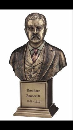 a bronze busturine of theodore roosevelt