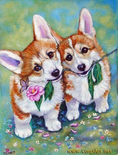 two corgi puppies with flowers on their collars