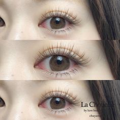 1d Lashes, Eyelash Extensions Natural, Eyelash Extension Removal, Bentuk Alis, Japan Makeup, Fresh Face Makeup, Natural Eyelash Extensions, Make Up Inspiration