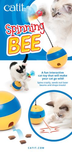 a cat playing with a toy that says spinning bee