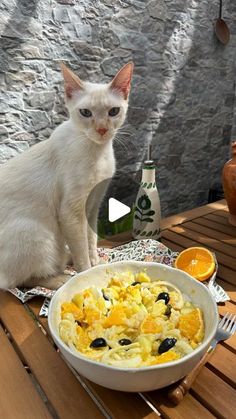 a white cat sitting on top of a wooden table next to a bowl of food