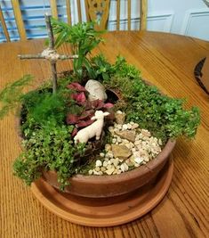 a wooden table topped with a potted plant filled with lots of green plants and rocks
