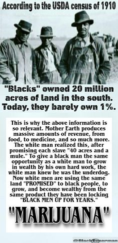 Black Facts History, Black Empowerment