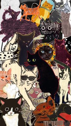 a collage of cats with different colors and sizes on them, including black cat