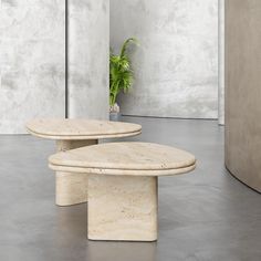 two tables sitting next to each other in front of a potted plant on top of a table