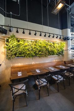 an indoor dining area with wooden tables and chairs, plants on the wall above them