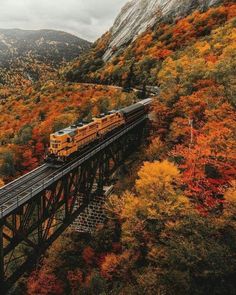 an aerial view of a train traveling over a bridge in the middle of trees and mountains