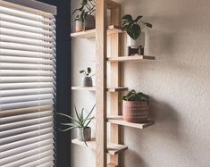 three wooden shelves with plants on them next to a window